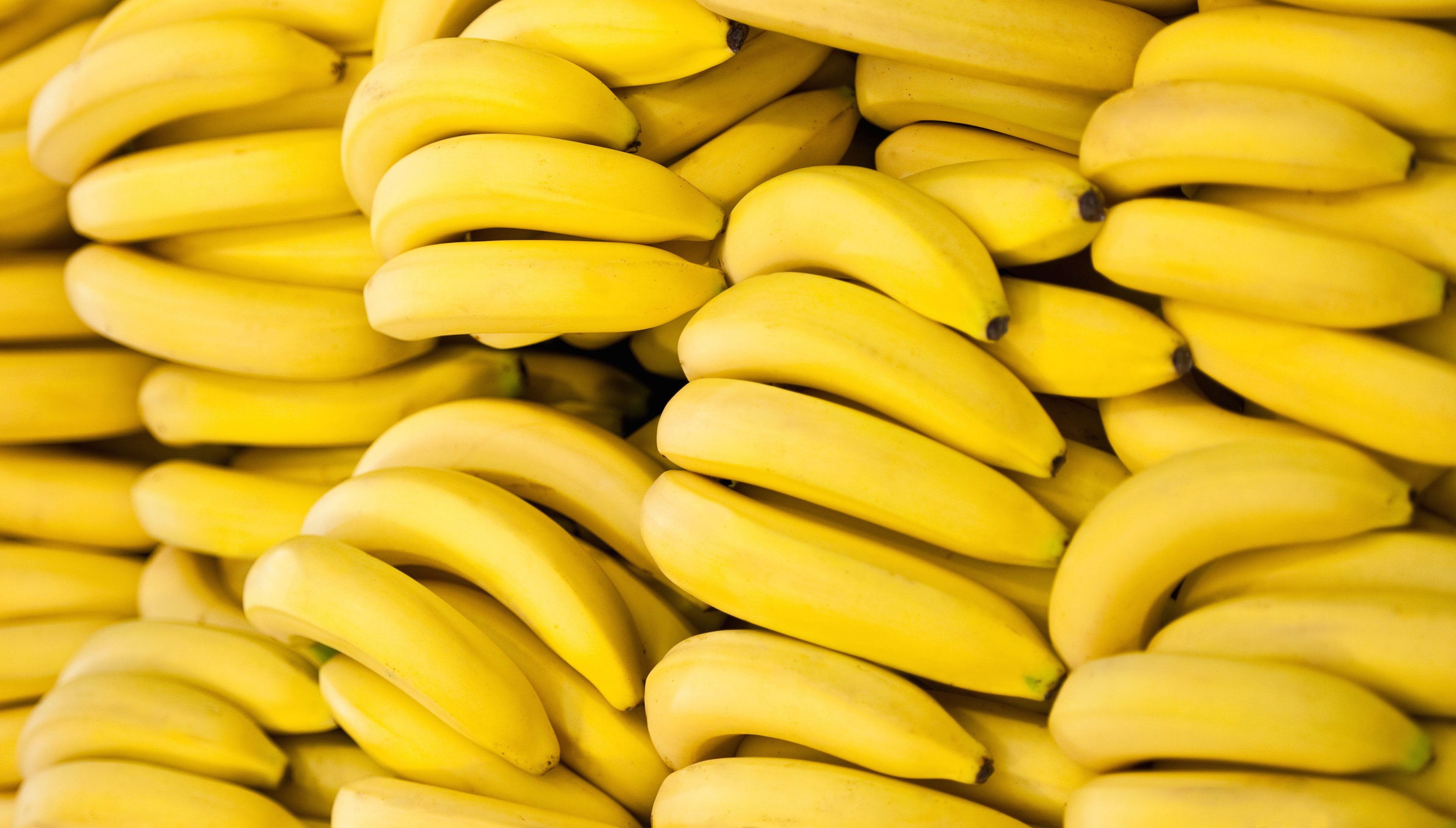 Bạn nên ăn gì khi bị stress?