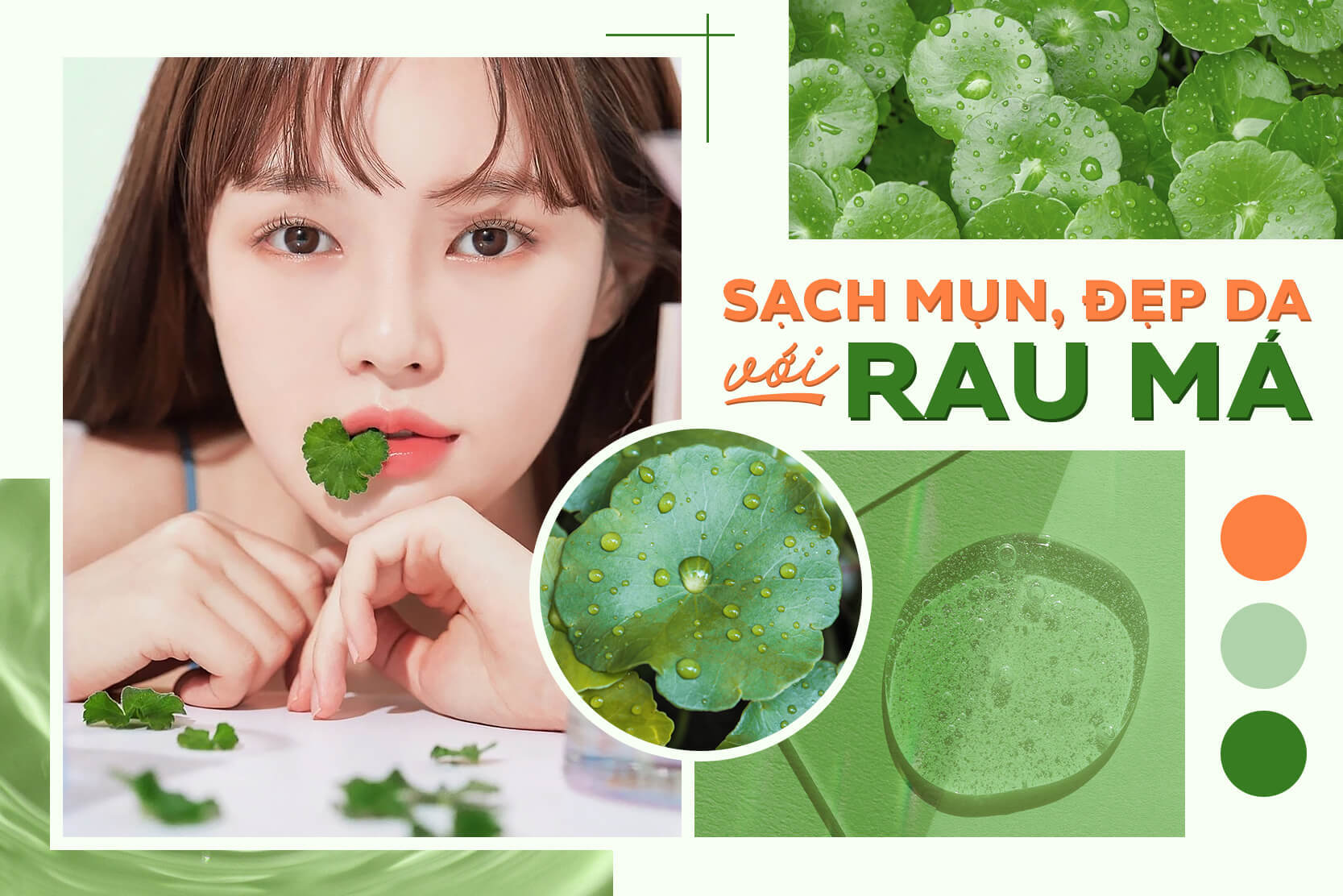 Dưỡng da từ Rau má luôn được hội skincare mê đắm, vì giá rẻ hay hiệu quả đáng kinh ngạc?