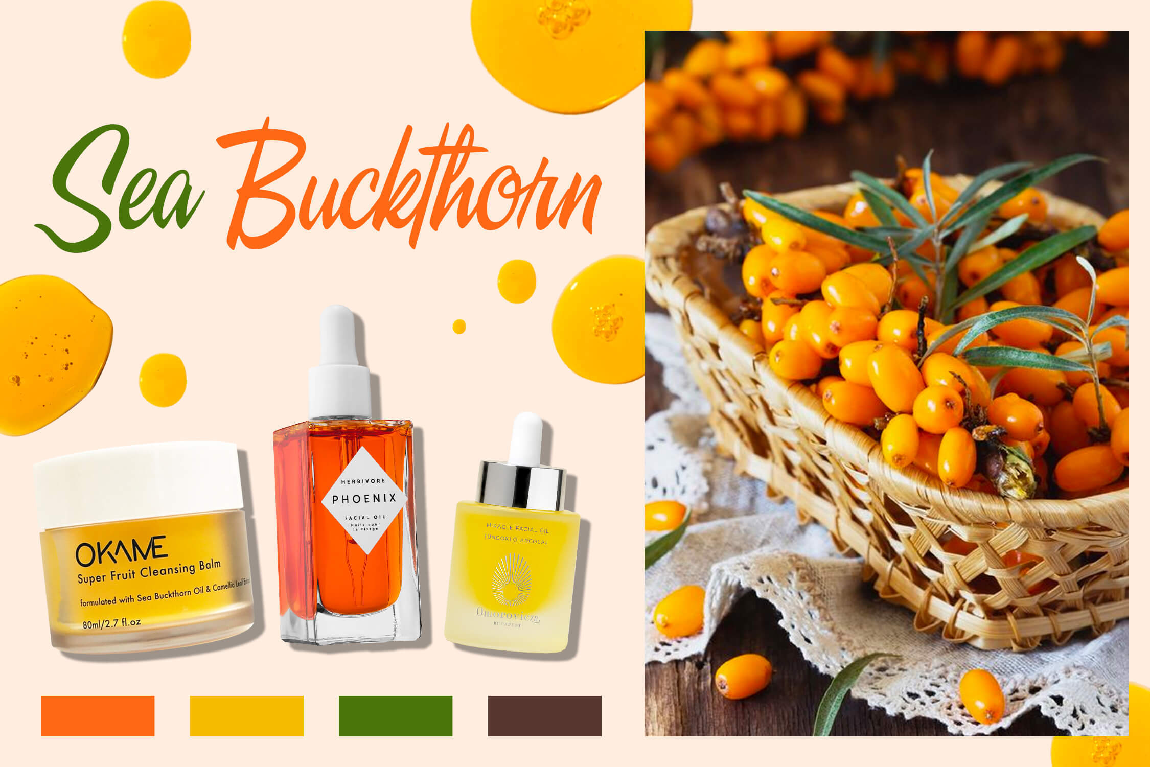 Hắc Mai Biển - “siêu sao” chống lão hóa tự nhiên với lượng Vitamin C gấp 12 lần cam quýt