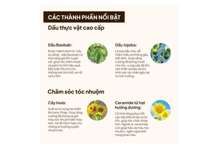 Tinh Chất Dưỡng Tóc La CASTA Aromaesthe Hair Emulsion 80ml với các thành phần như Dầu Baobab, Dầu Jojoba, Cây Inula và Ceramide, giúp phục hồi tóc hư tổn, cung cấp độ ẩm và bảo vệ tóc khỏi tác nhân gây hại.