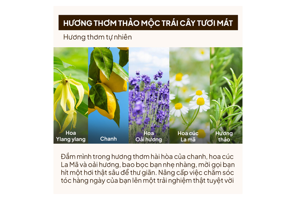 Hương thơm tự nhiên với Ylang ylang, chanh, hoa oải hương, hoa cúc La Mã và hương thảo, mang lại sự thư giãn và nâng cấp việc chăm sóc tóc hàng ngày của bạn với trải nghiệm tuyệt vời.