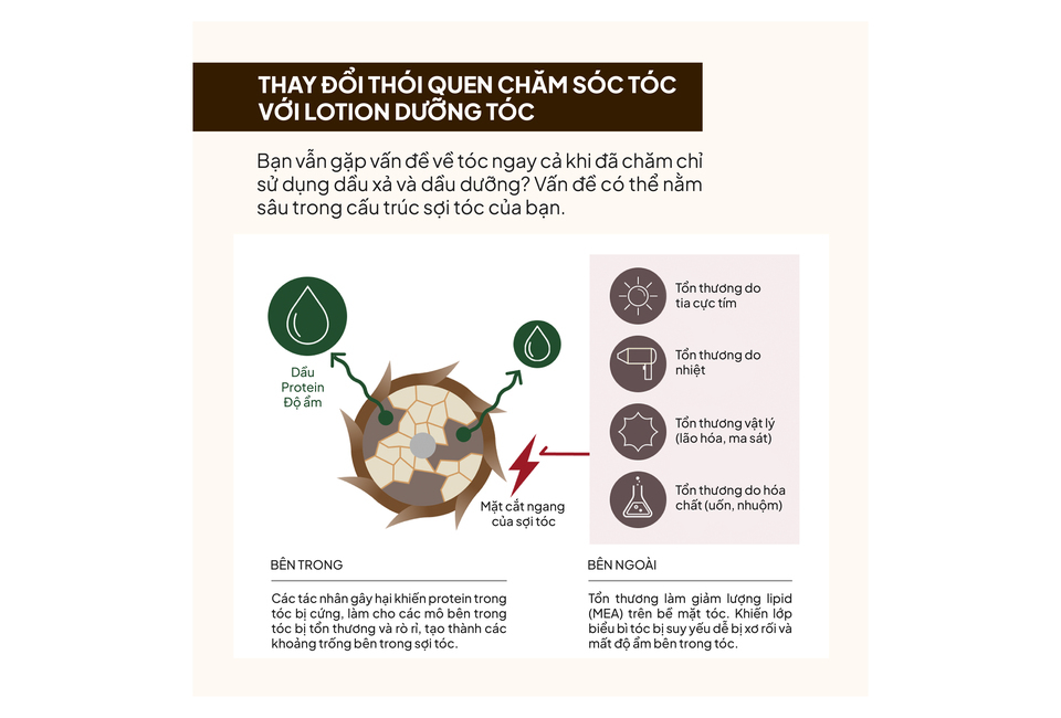 Dưỡng Tóc La CASTA Aromaesthe Hair Lotion Smooth 150ml giúp nuôi dưỡng tóc chắc khỏe, phục hồi hư tổn từ bên trong và bên ngoài, cung cấp độ ẩm và bảo vệ tóc khỏi tác nhân gây hại.