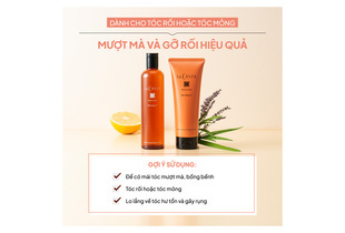 Dầu Gội La CASTA Aromaesthe Hair Soap 21 giúp tóc suôn mượt và giảm xơ rối hiệu quả. Sản phẩm cho mái tóc bóng khỏe, lý tưởng cho tóc rối hoặc tóc mòng.