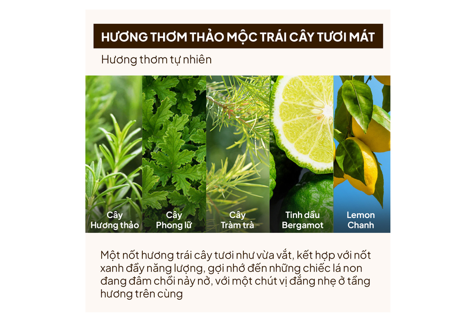 Hương thơm từ thảo mộc và trái cây tươi mát, kết hợp cây hương thảo, cây phong lữ, cây tràm trà, tinh dầu bergamot và chanh, tạo nên sự tươi mới cho Dầu Dưỡng Tóc La CASTA Aromaesthe Hair Oil Phục Hồi và Mềm Mượt Tóc 80ml.